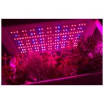 GreenUnit 2-0 mit Sunlight LED Technologie.jpg